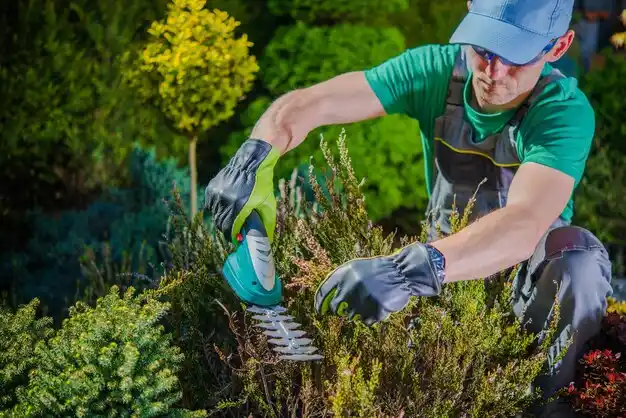 landscaping services Lowellville